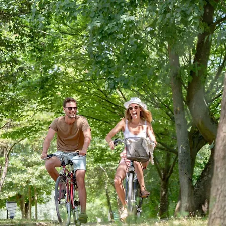 2p * Мезон-Лафит