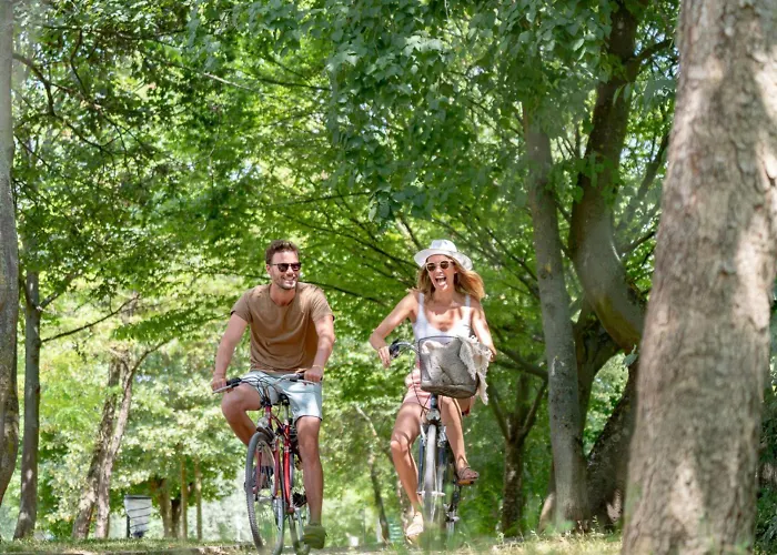 2p * Мезон-Лафит